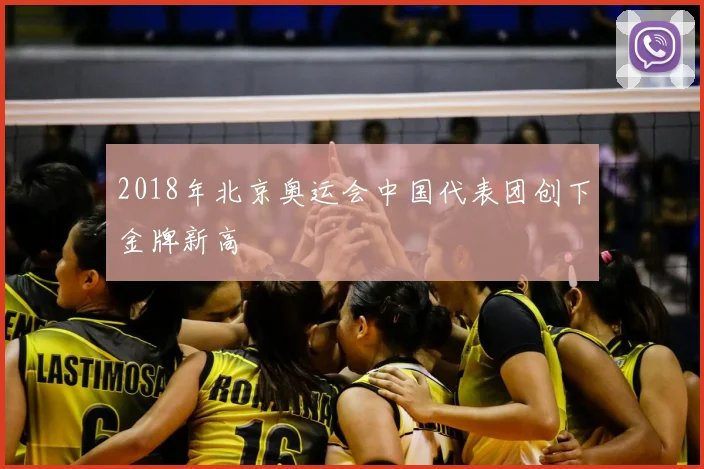 2018年北京奥运会中国代表团创下金牌新高