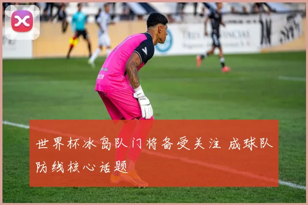 世界杯冰岛队门将备受关注 成球队防线核心话题
