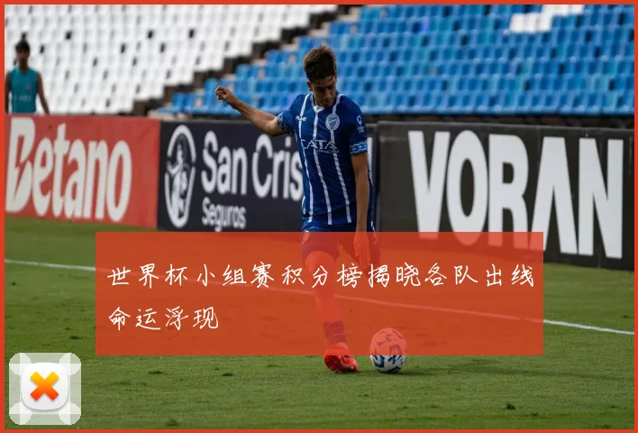 世界杯小组赛积分榜揭晓各队出线命运浮现