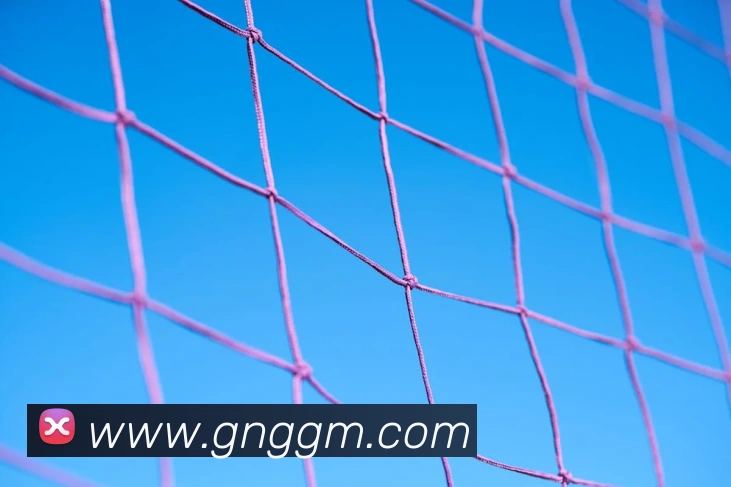 世界杯官网登录app平台生态图